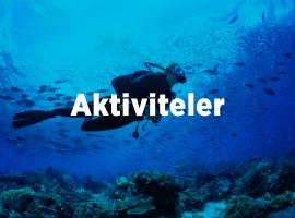 Bodrum'da Yapılabilecek Aktiviteler