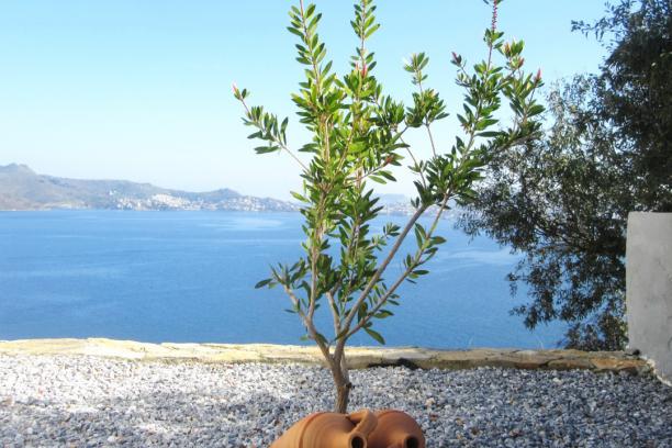 Bodrum Yalıkavak'ta Ortak Havuzlu Deniz Manzaralı 3+1 Villa