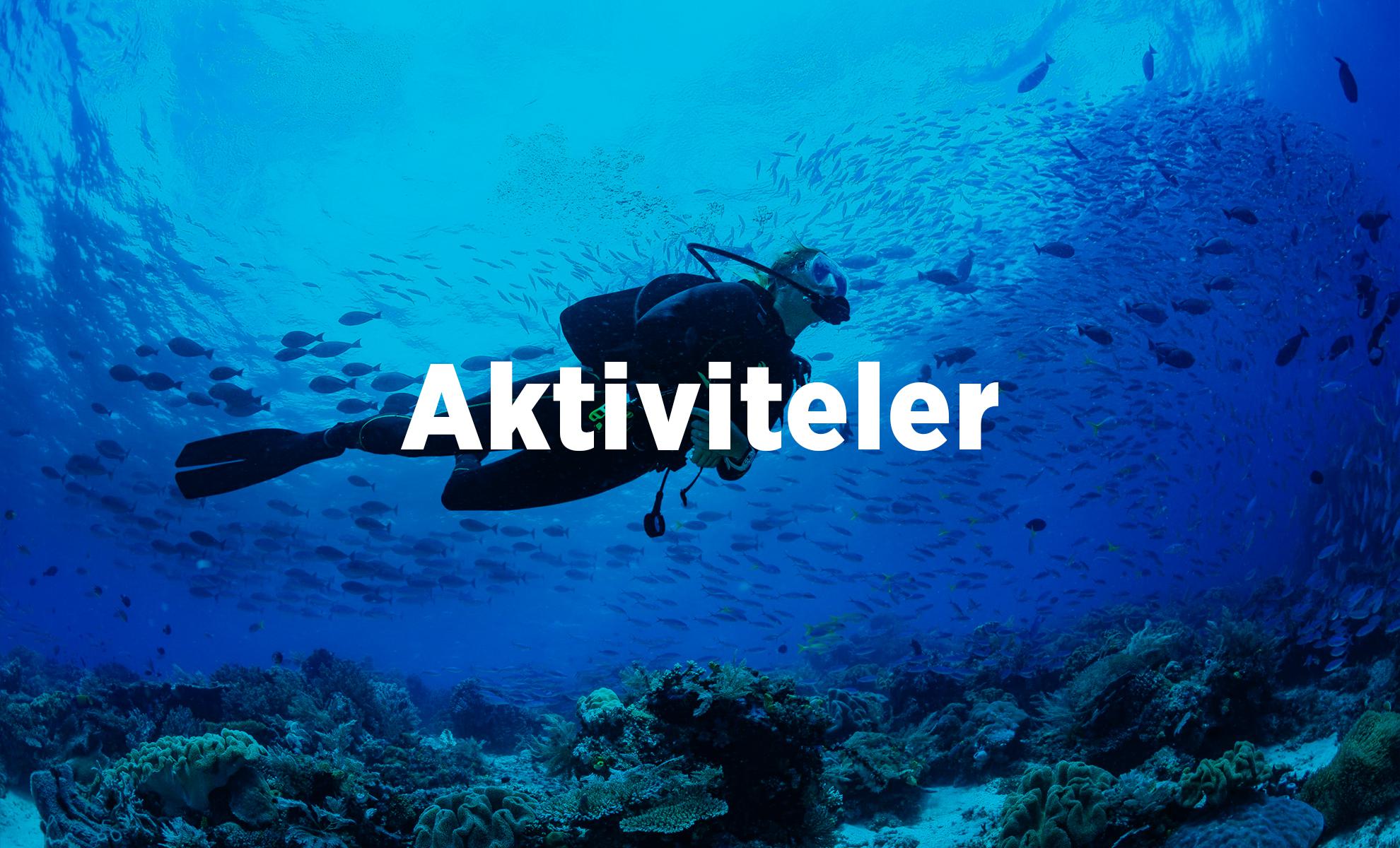 Bodrum'da Yapılabilecek Aktiviteler